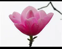 体检亚健康是什么意思_体检亚健康_体检亚健康人群