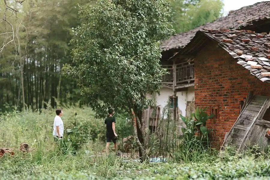 喜欢分享生活趣事的人_分享生活的趣事_生活趣事感悟