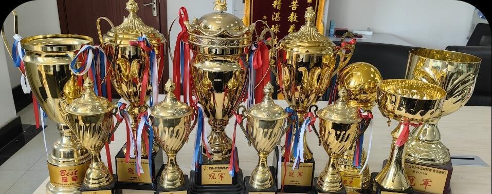 青岛足球排名历史城市第几_青岛足球队排名_青岛足球城市历史排名