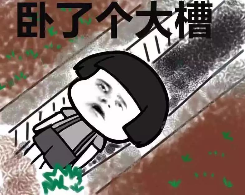 南福打篮球冠军_获篮球赛冠军_篮球冠军2021