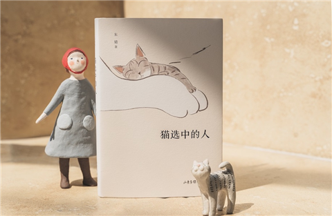 共鸣趣味日常生活的句子_引起共鸣的幽默句子_共鸣的段子
