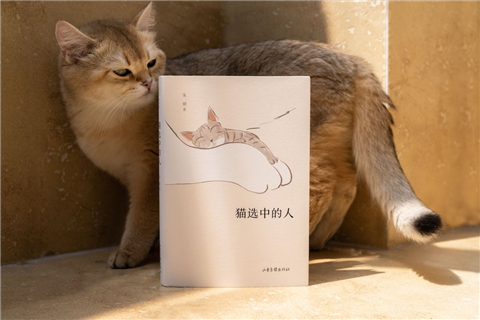 共鸣趣味日常生活的句子_共鸣的段子_引起共鸣的幽默句子