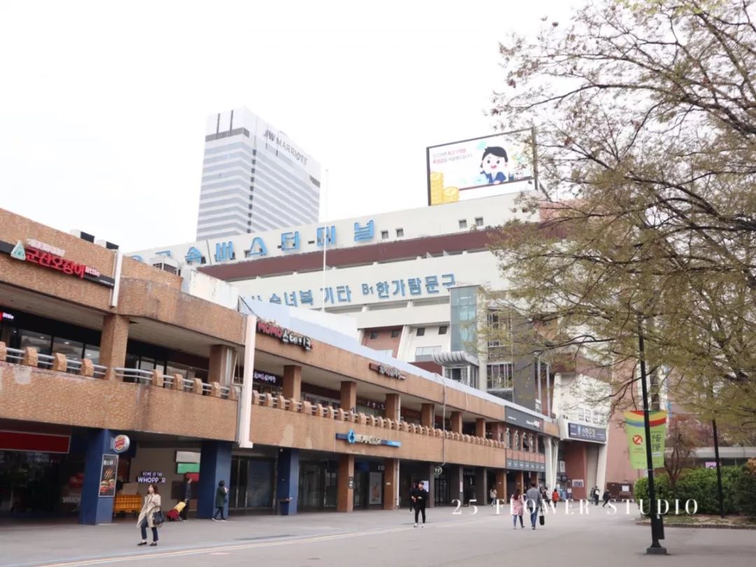 家庭日常插花图片简单_日常插花图片简单家庭版大全_日常插画手绘